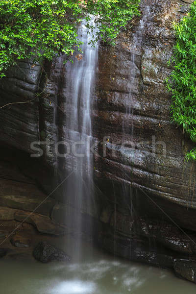 Sérénité soleil côte Australie forêt cascade [[stock_photo]] © artistrobd