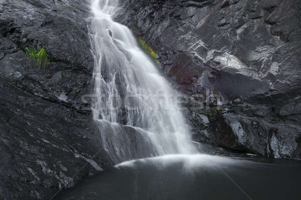 Zeder Bach Wasserfall Park splash frischen Stock foto © artistrobd