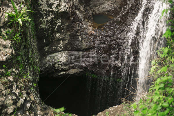 Naturalnych most wodospad wody lasu liści Zdjęcia stock © artistrobd