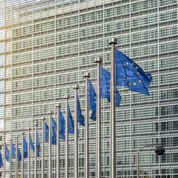 Europese unie vlaggen gebouw Brussel België Stockfoto © artjazz