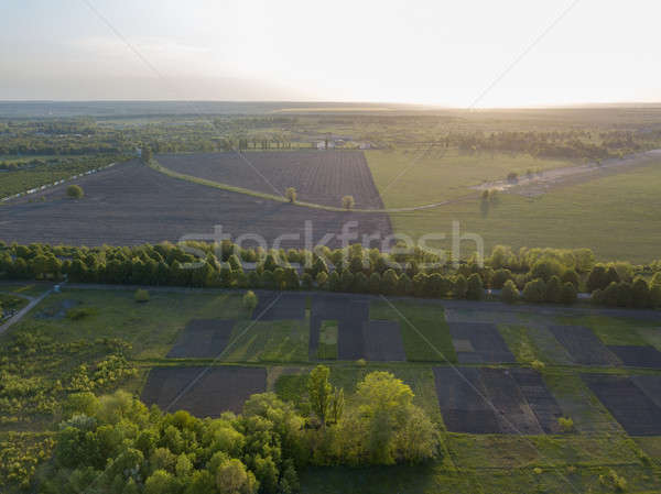 Landscape view over the field and trees against the sky. Photo from the drone Stock photo © artjazz