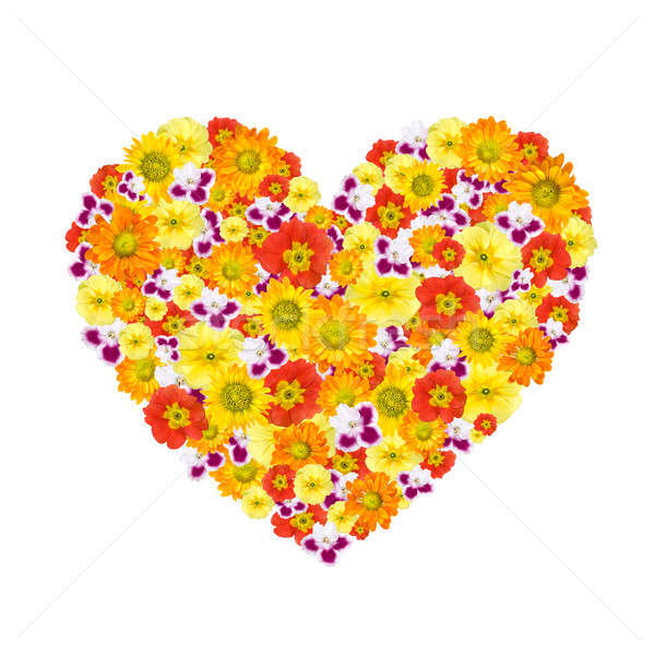 Stock photo: heart of color flowers isolated on white