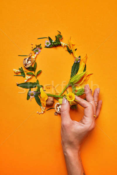 beautiful frame of flowers and leaves Stock photo © artjazz