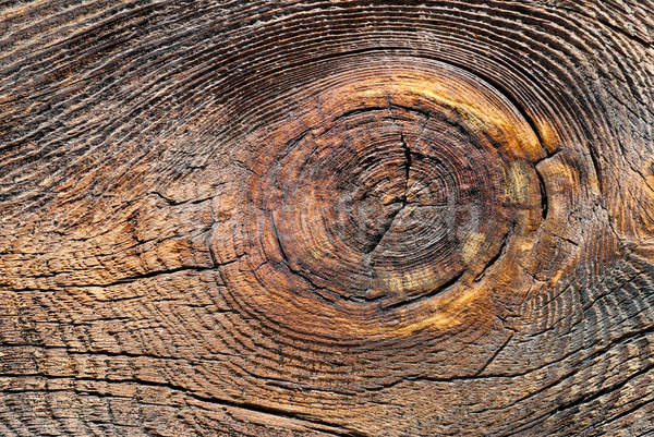 wood texture Stock photo © artjazz