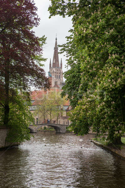 View of Bruges, Belgium Stock photo © artjazz