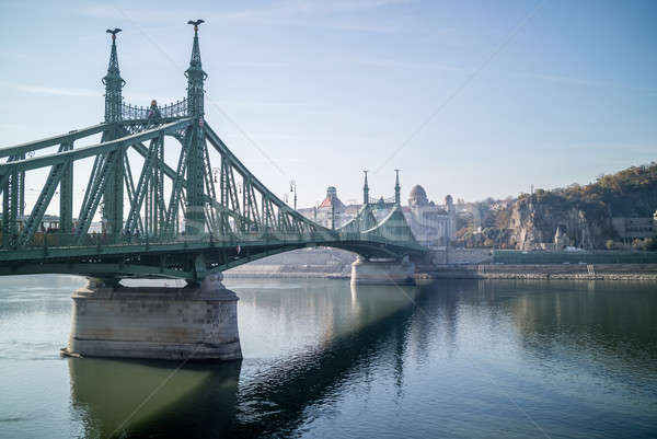 Liberty Bridge Budapest Stock photo © artjazz