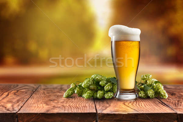 Zdjęcia stock: Piwa · szkła · serwowane · biurko · świetle