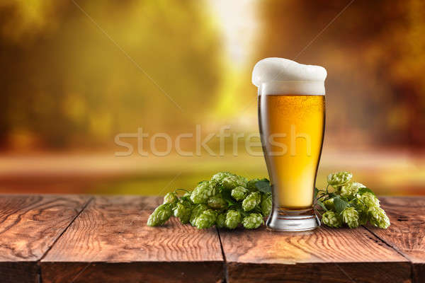 Bière verre servi bois bureau lumière [[stock_photo]] © artjazz