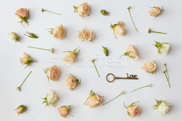 Antigo chave flores casamento rosa Foto stock © artjazz