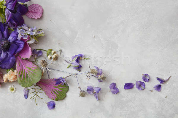 Stockfoto: Bloemen · grijs · decoratie · veel · Blauw · valentijnsdag
