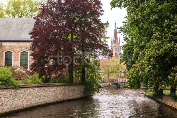 Lac ville Belgique eau arbre printemps [[stock_photo]] © artjazz