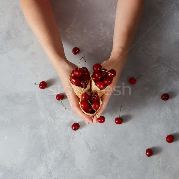 Freshly picked cherries with waffle cones in a womans hands on a Stock photo © artjazz