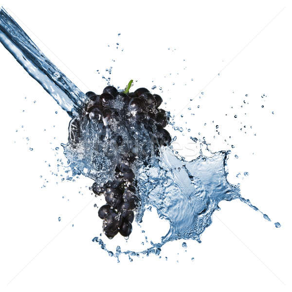 Stock fotó: Kék · szőlő · csobbanás · izolált · fehér · víz