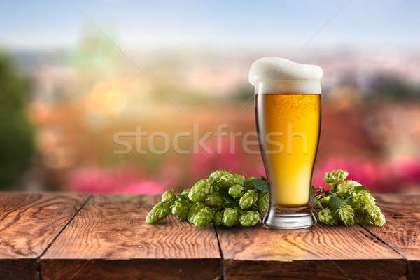 Vetro birra hop tavolo in legno natura luce Foto d'archivio © artjazz