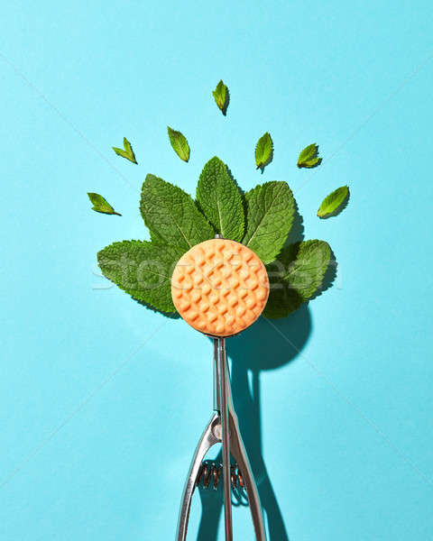 Flat lay of spoon for ice cream with mint leaves and biscuit on a blue background with hard shadows. Stock photo © artjazz