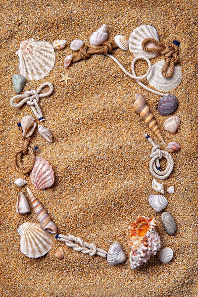 Keret különböző kagylók homok víz textúra Stock fotó © artjazz
