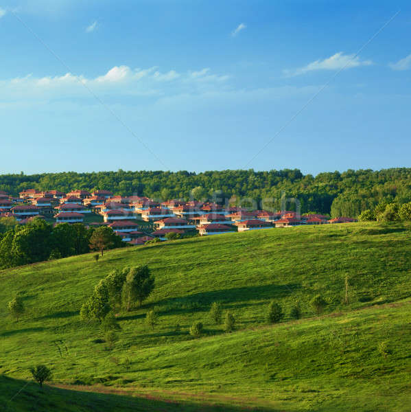 Green meadow against blue sky and small town Stock photo © artjazz