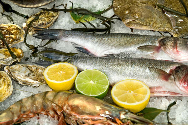 Stock photo: fresh frozen fish with oysters, lobster and lemons in ice