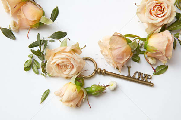 Key with rose petals Stock photo © artjazz