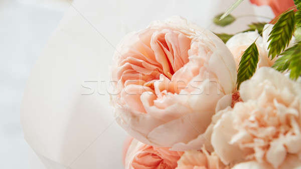 Roses on white background Stock photo © artjazz