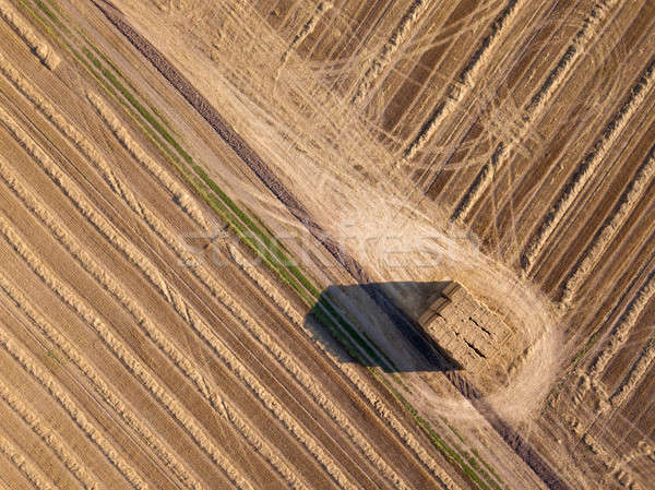 Top vedere care zboară agricol câmp Imagine de stoc © artjazz