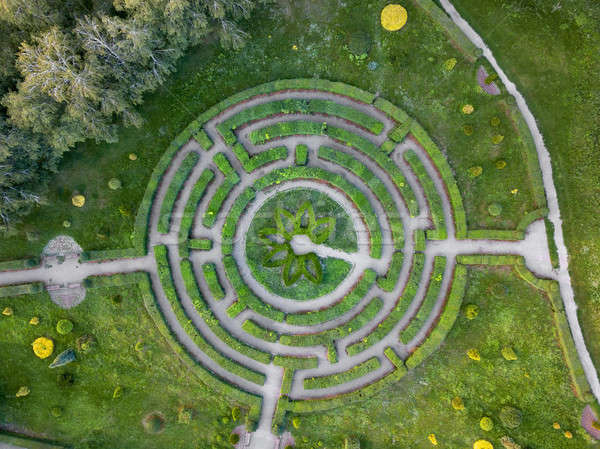 Luchtfoto natuurlijke labyrint tuin foto vogels Stockfoto © artjazz