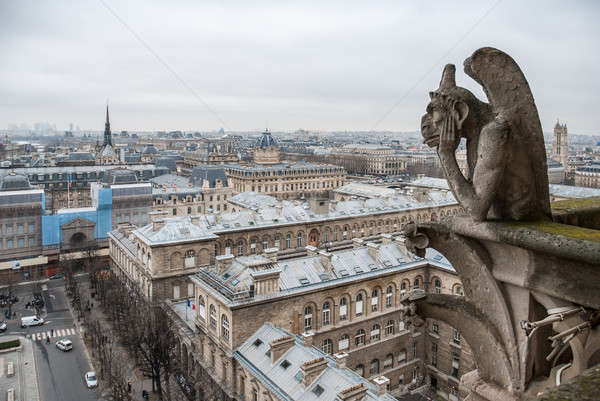 Luftbild Paris Dame Frankreich Himmel Stadt Stock foto © artjazz