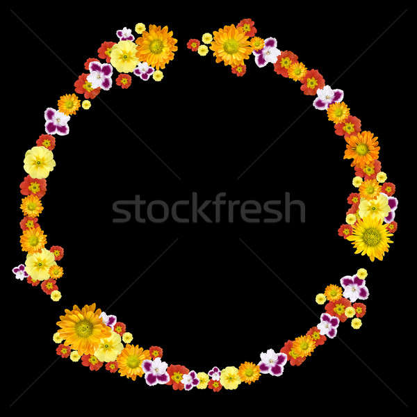 Stok fotoğraf: Dekoratif · çevre · geri · dönüşüm · simge · renk · çiçekler