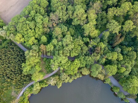 Aerial view over sunny lake surrounded by tree forest near town. Stock photo © artjazz