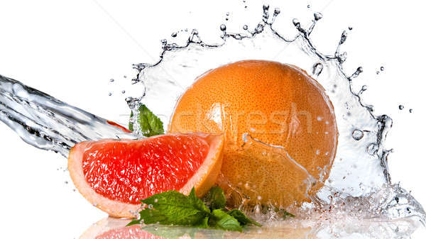 Grapefruit mint isoliert weiß Kopfzeile Stock foto © artjazz