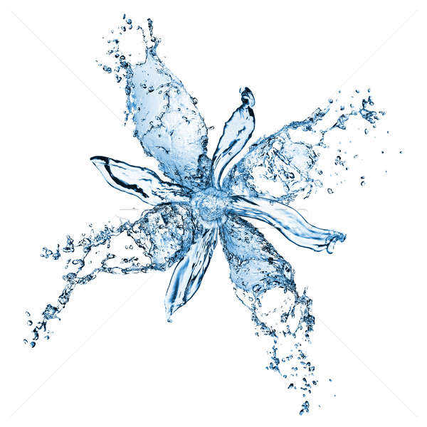 Zdjęcia stock: Kwiat · wody · odizolowany · biały