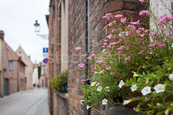 Balcony with flowers Stock photo © artjazz