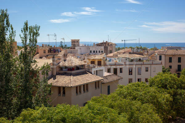 View of Palma de Mallorca Stock photo © artjazz