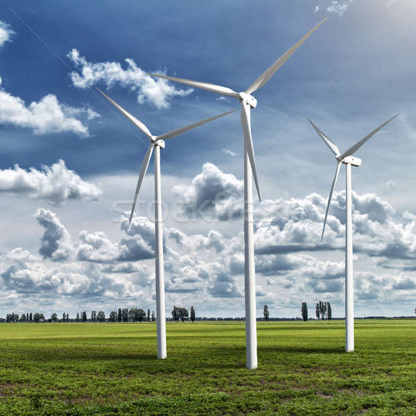 Wind generators turbines on summer landscape Stock photo © artjazz