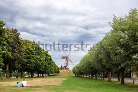 Panoramic view Sint Janshuismolen wind mill Stock photo © artjazz