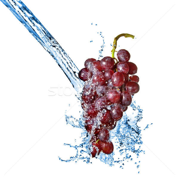 [[stock_photo]]: Bleu · raisins · isolé · blanche · eau