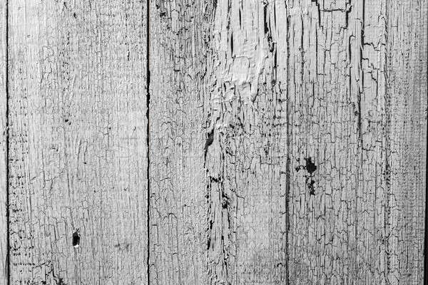 white wood texture Stock photo © artjazz