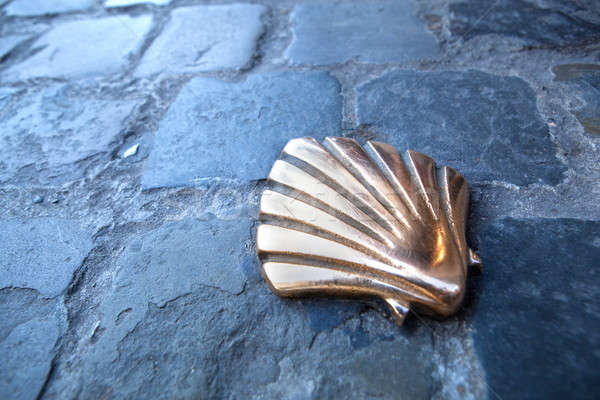 Stock photo: St James shell in Brussels