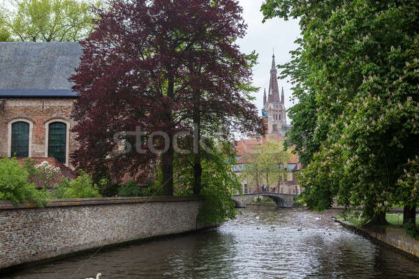 表示 ベルギー 古い 市 水 愛 ストックフォト © artjazz