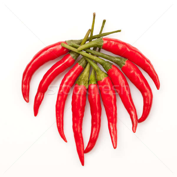 chili pepper isolated on white Stock photo © artjazz