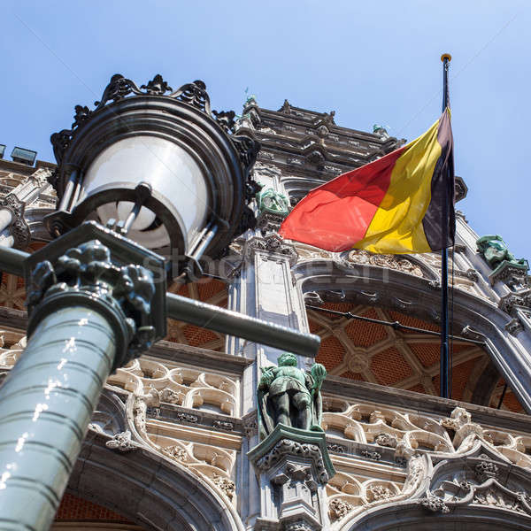 Belçika bayrak yer Brüksel gökyüzü ev Stok fotoğraf © artjazz
