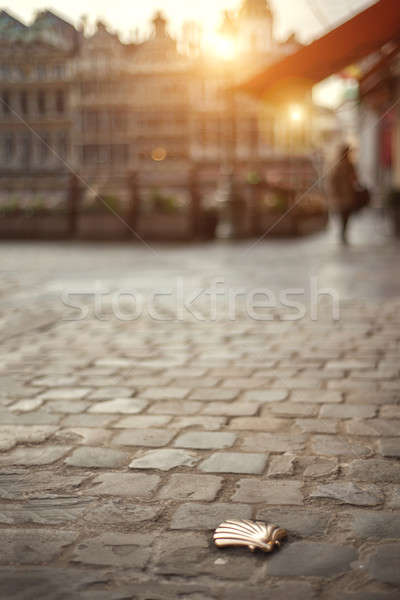Santiago concha Bruxelas Bélgica pedra seta Foto stock © artjazz