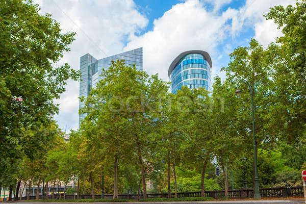 Stock photo: Long row of trees along a pathway in park