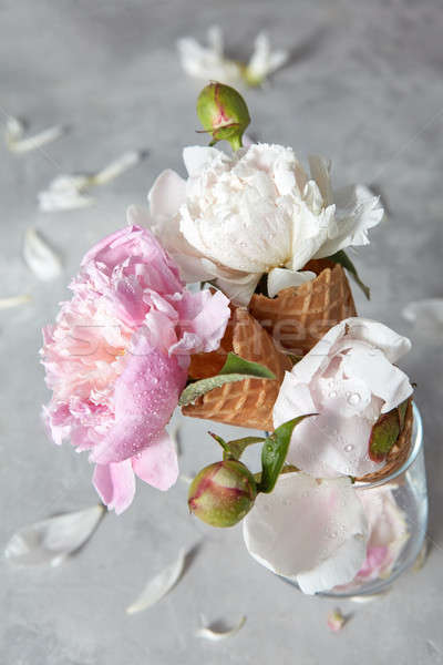 открытки капли воды нежный Nice цветы Сток-фото © artjazz