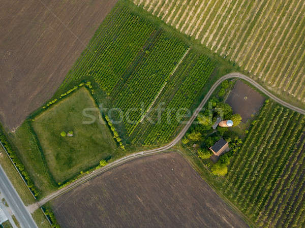 aerial view agriculture field summer day Stock photo © artjazz