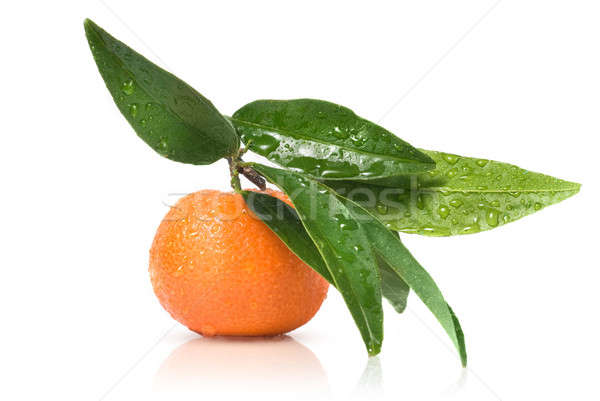 Mandarin zöld levelek vízcseppek izolált fehér étel Stock fotó © artjazz