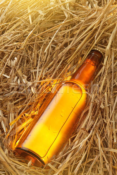 Beer bottle in the stack of hay Stock photo © artjazz