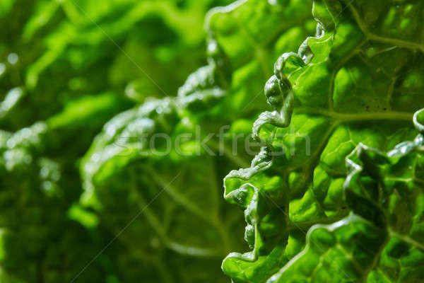 Kohl Textur green leaf Essen Blatt Garten Stock foto © artjazz