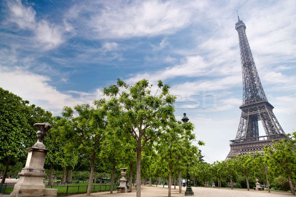 Tour Eiffel Paris France herbe bâtiment nature Photo stock © artjazz