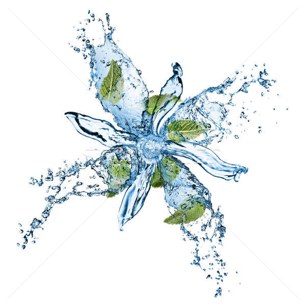 water splash with green mint isolated on white Stock photo © artjazz